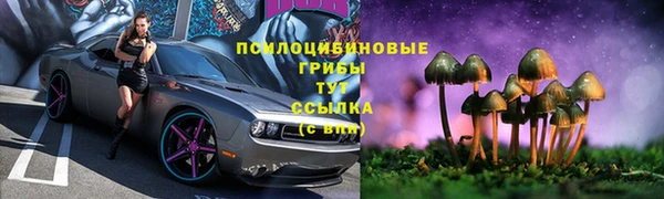 СК Зерноград