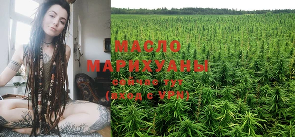 СК Зерноград